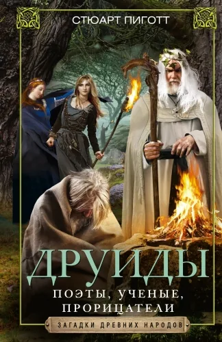 Обложка книги Друиды. Поэты, ученые, прорицатели