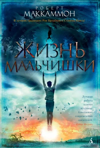 Обложка книги Жизнь мальчишки