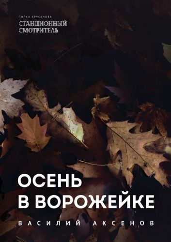Обложка книги Осень в Ворожейке