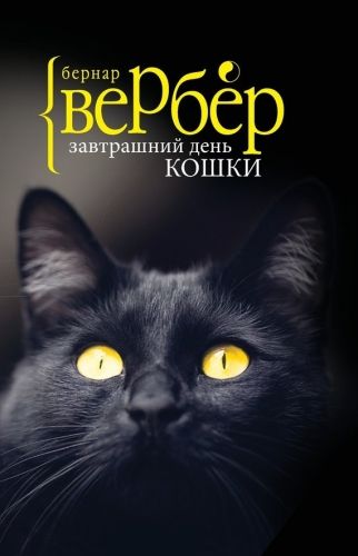 Обложка книги Завтрашний день кошки