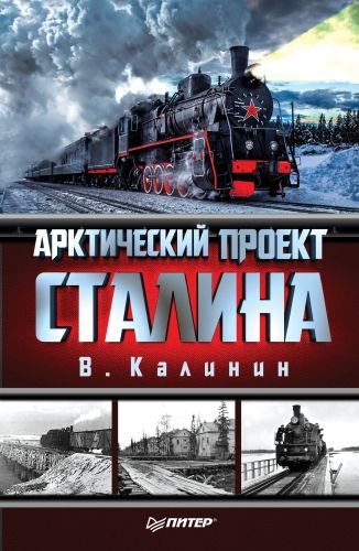 Обложка книги Арктический проект Сталина