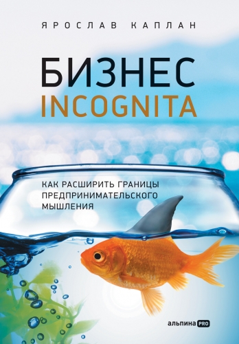 Обложка книги Бизнес incognita. Как расширить границы предпринимательского мышления